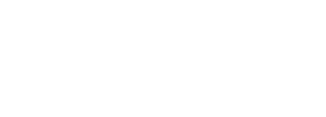 FlexSure Logo White